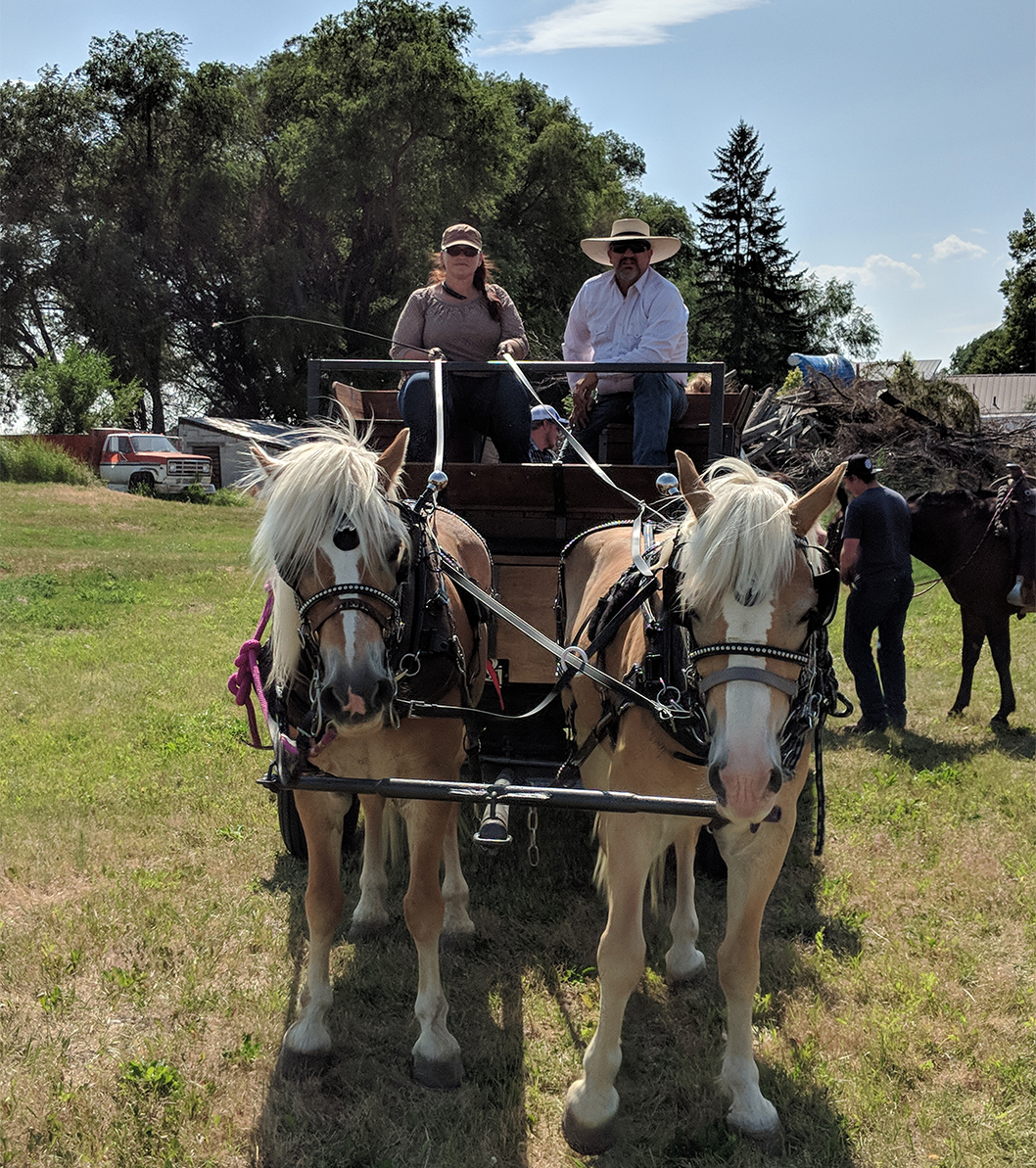 Wagon driving